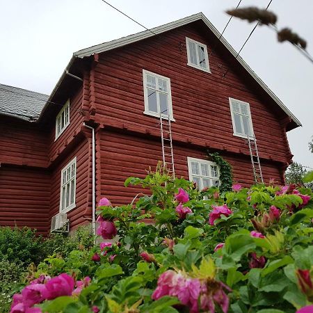 Haugtun Gardspensjonat Og Leiligheter Nordre Land Exterior foto