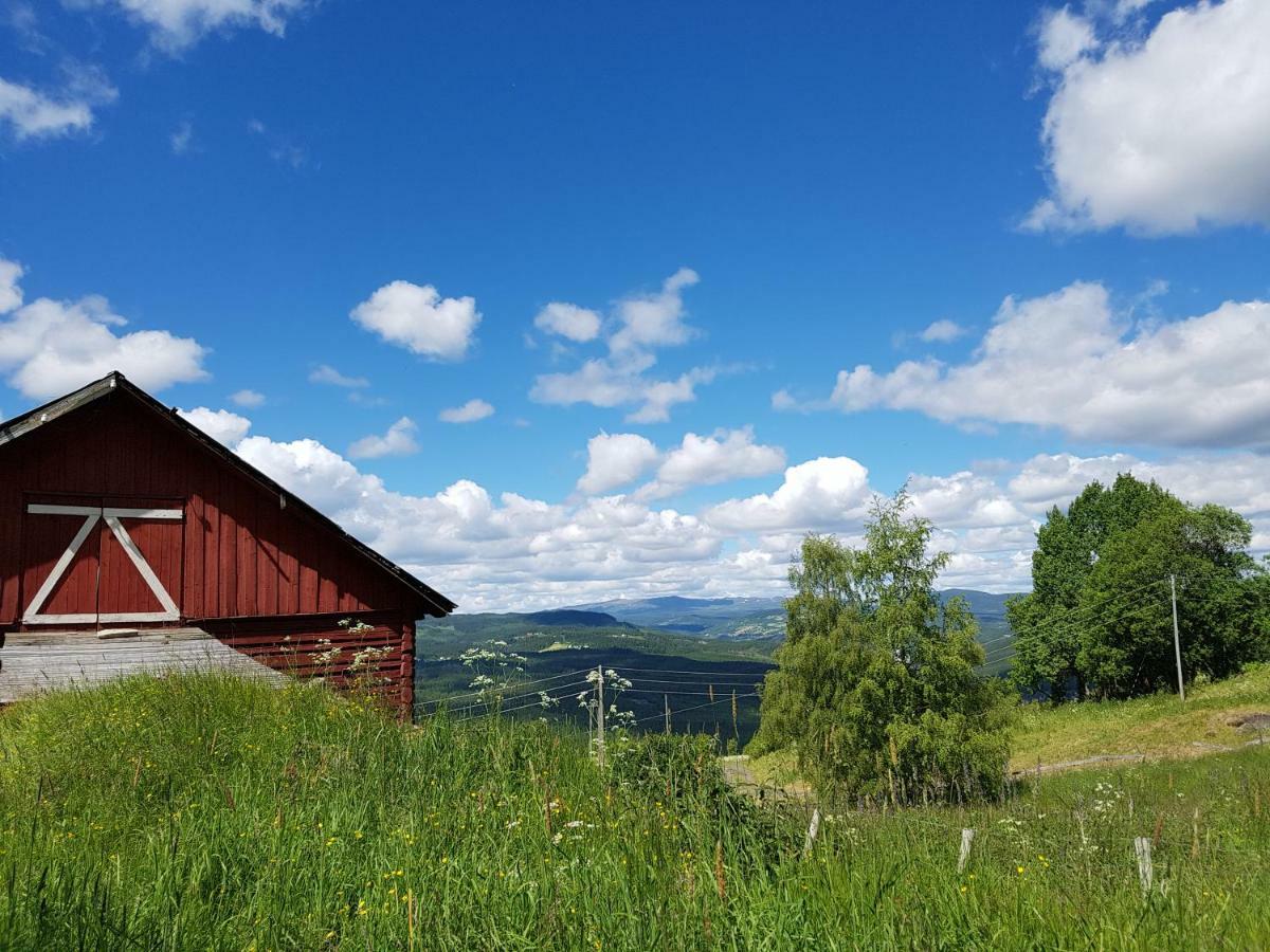 Haugtun Gardspensjonat Og Leiligheter Nordre Land Exterior foto
